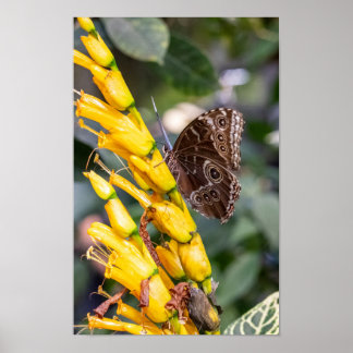 Poster Entrer en contact