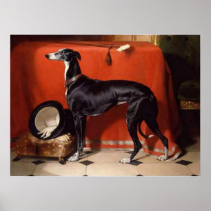 Poster Eos, un Greyhound préféré de Prince Albert