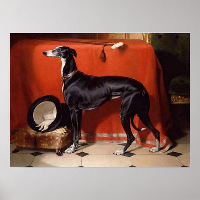 Poster Eos, un Greyhound préféré de Prince Albert (Devant)
