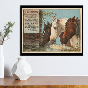 Poster Éphémère de publicité pour chevaux de ferme buvant