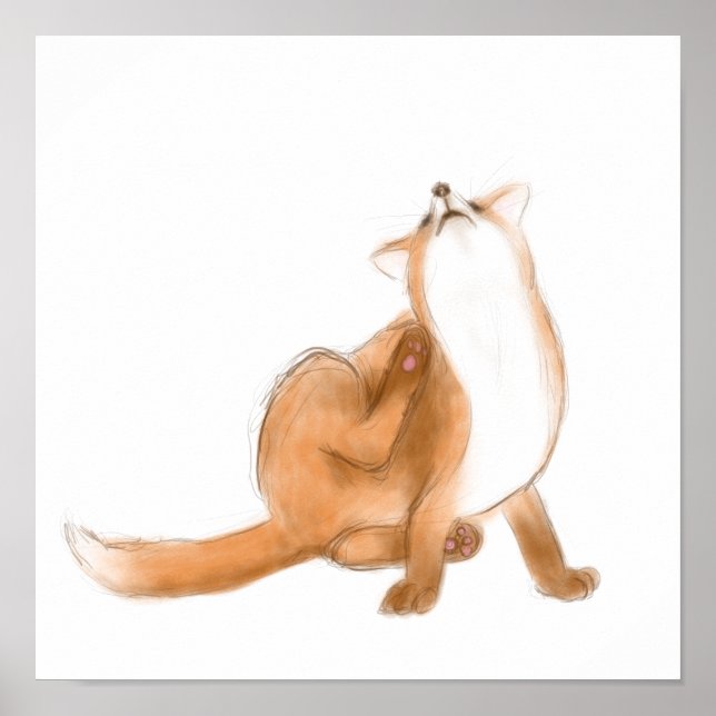 Poster Épingler le renard (Devant)