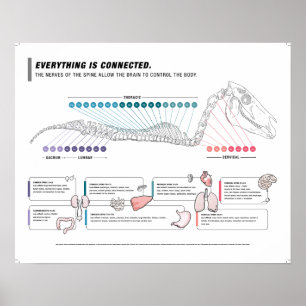 Poster équin