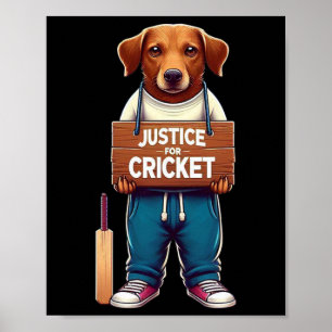 Poster Équipe Cricket