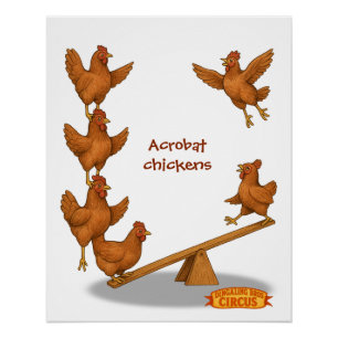 Poster Équipe d'acrobates des poulets gazouillants