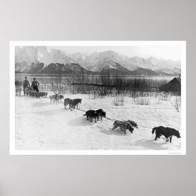 Poster Équipe de chiens Husky Alaska 1918 (Devant)