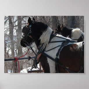 Poster Équipe de projet Pinto