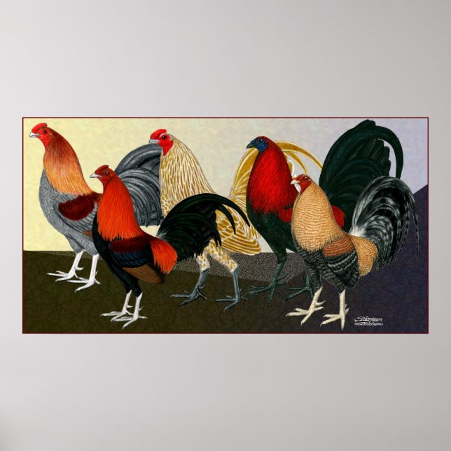 Poster Équipe Rooster Dream (Devant)