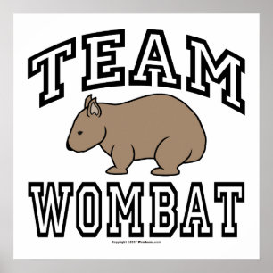 Poster Équipe Wombat