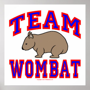 Poster Équipe Wombat VI