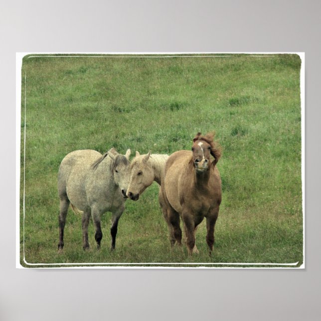 Poster Équipements amusants (Devant)