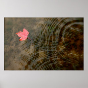 Poster Érable rouge flottant
