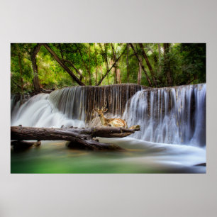 Poster Erawan Waterfall with Deer Relaxing
