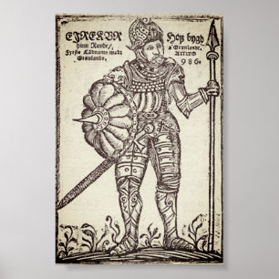 Poster Erik le Rouge