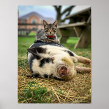 Ernest & Sassy Print !