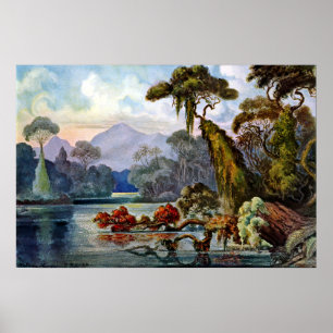 Poster Ernst Haeckel Ceylon Jungle River