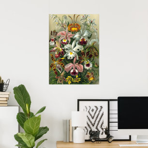 Poster Ernst Haeckel Orchidées, Fleurs Vintage de la Forê