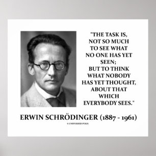 Poster Erwin Schrödinger Tâche Penser Personne Encore Pen