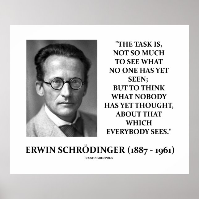 Poster Erwin Schrödinger Tâche Penser Personne Encore Pen (Devant)