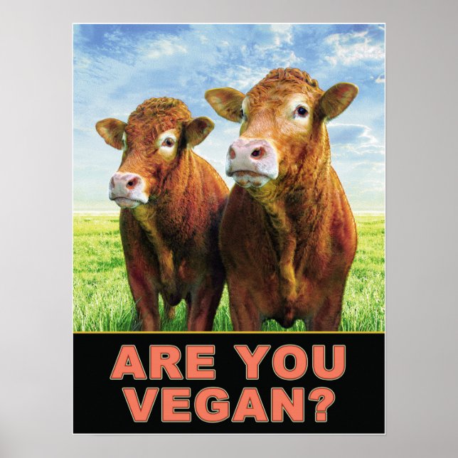 POSTER ES-TU VÉGÉN ? (Devant)