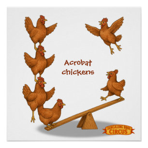 Poster escadron acrobatique de poulets gazouillants