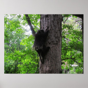 Poster Escalade élevée