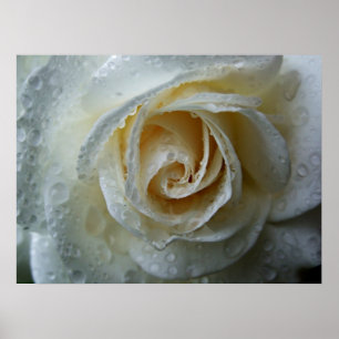 Poster Escalade Iceberg Rosa