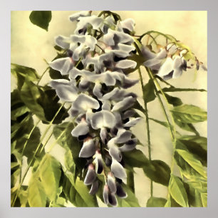 Poster Escalade Windblown Wisteria Vine peinture acryliqu