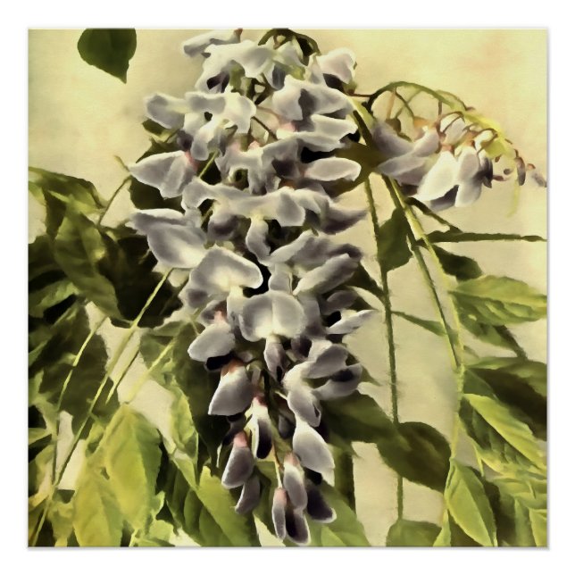 Poster Escalade Windblown Wisteria Vine peinture acryliqu (Devant)