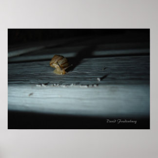 Poster Escargot