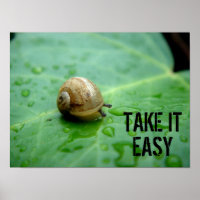 Escargot de bébé