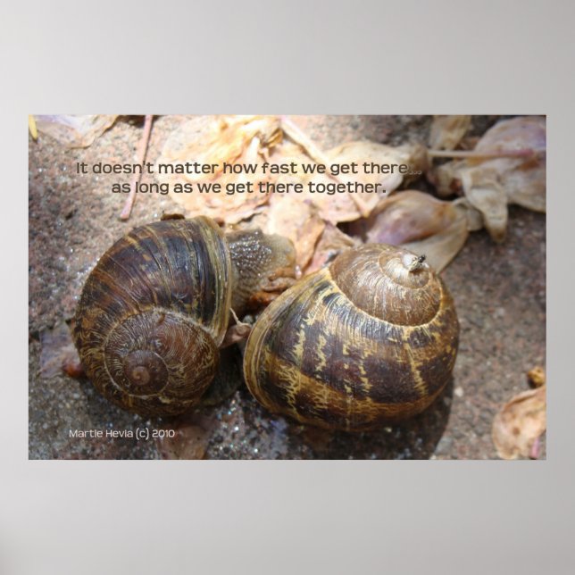 Poster Escargots en amour (Devant)