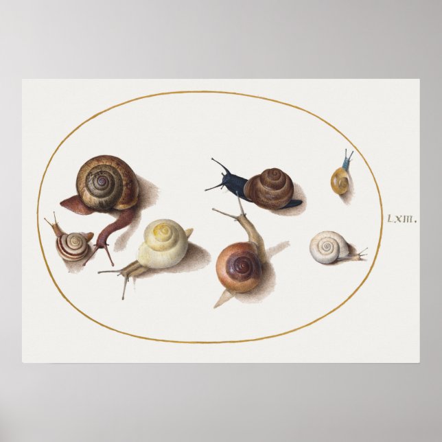Poster Escargots vintages (Devant)