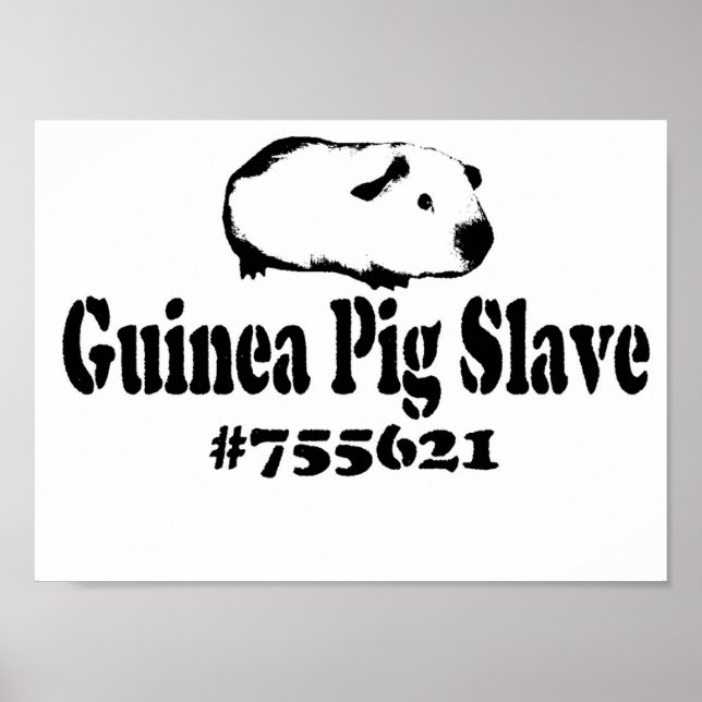 Poster Esclave de porc de Guinée (Devant)