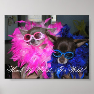 Poster Ese et Lola Go Hollywood