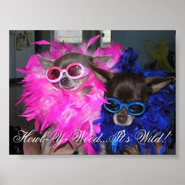 Poster Ese et Lola Go Hollywood (Devant)