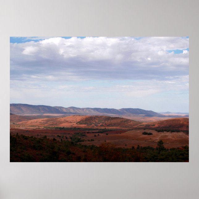 Poster Espace ouvert du bush australien (Devant)