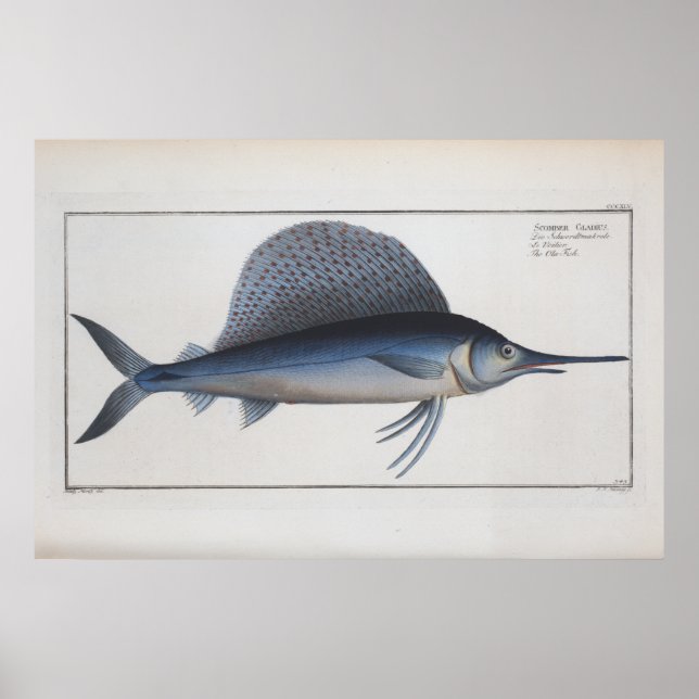 Poster Espadon Dessin Retro Vintage (Devant)
