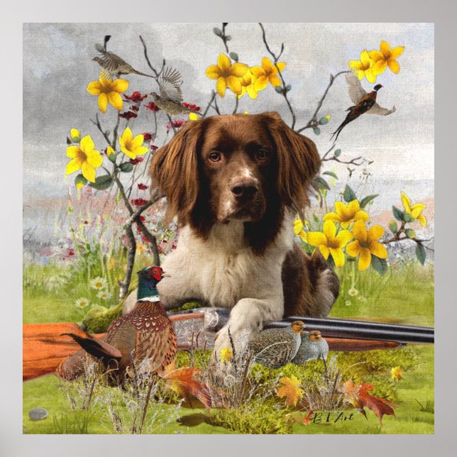 Poster Espagnol Springer anglais, Art (Devant)