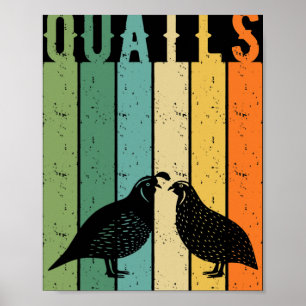 Poster Espèces de cailles oiseaux éleveur de cailles orne