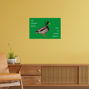 Poster Espéranto : Je vais bien, car j'ai un canard.