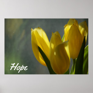 Poster Espoir - Fleurs de tulipes jaunes