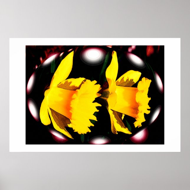 Poster Esprit de jonquille (Devant)