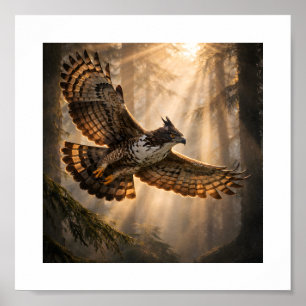 Poster Esprit de la forêt profonde – Aigle montagnard