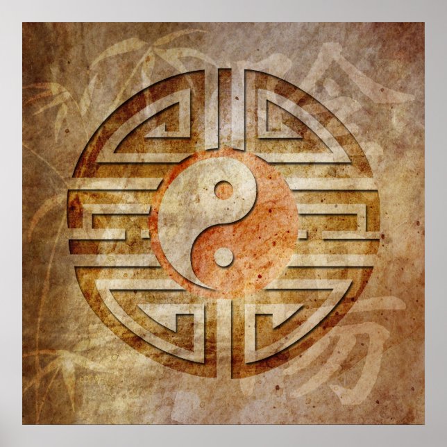 Poster Esprit De Yin & Yang (Devant)