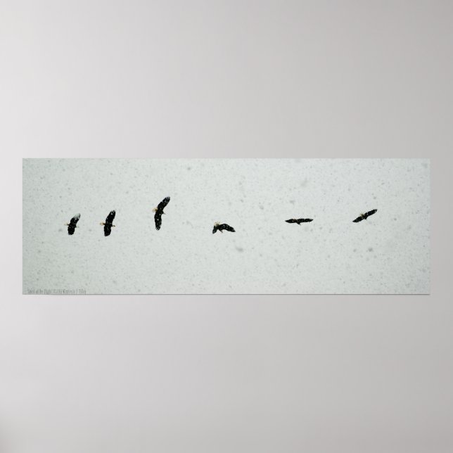 Poster Esprit du vol (Devant)