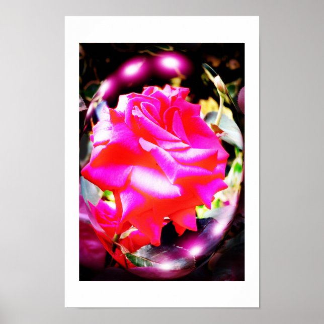 Poster Esprit rose (Devant)