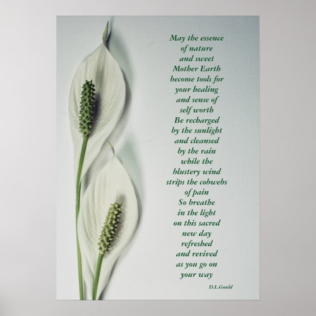 Poster 'Essence de la nature' (Devant)