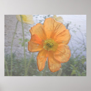 Poster Essence orange