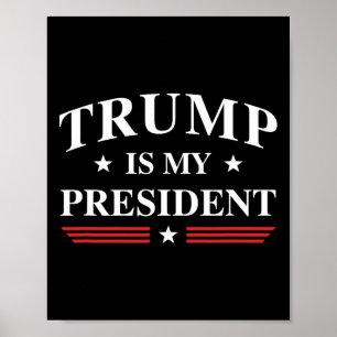 Poster Est-ce mon président ?