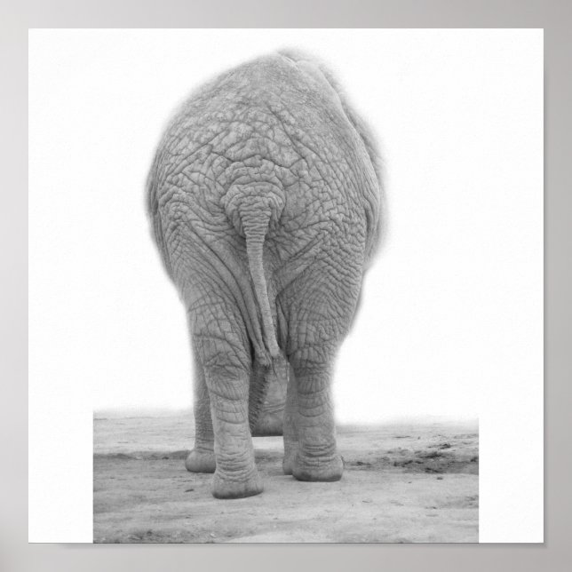 Poster Est-ce que mon cul a l'air grand (Devant)